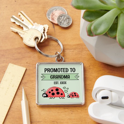 Beforderd tot oma lieveheersbeestjes groen sleutelhanger (Bureau)