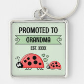 Beforderd tot oma lieveheersbeestjes groen sleutelhanger (Voorkant)