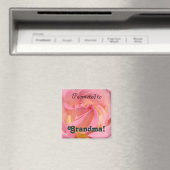 Beforderd tot oma! magneet cadeaus Roze Roos (Insitu (Vaatwasser))