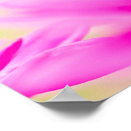 Before the Bloom Poster