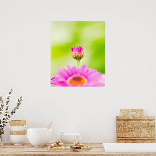 Before the Bloom Poster (Keuken)