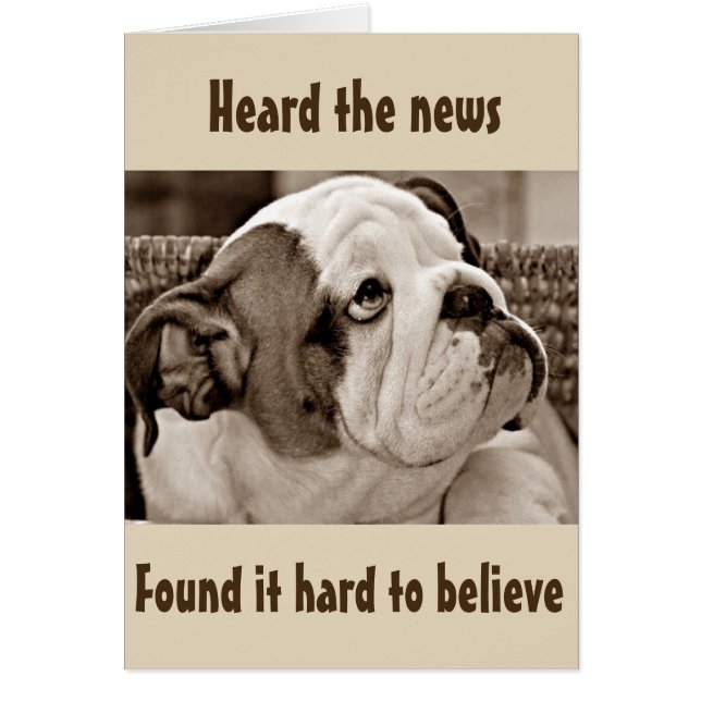 **BEFUDDLED BULL DOG** KAN NIET GELOVEN DAT JE **5 (Voorkant)