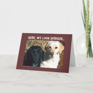 BEG VOOR TREATS ZODRA GOED WISHEN KAART