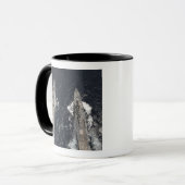 Begeleide rakettenverdeler USS Gridley Mok (Voorkant links)