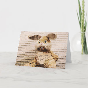 Beggar Bunny, Funny Easter Rabbit Card Feestdagen Kaart