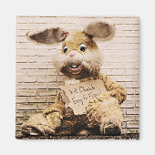 Beggar Bunny, Rabbit Suit, Funny Easter Bunny Magneet (Voorkant)