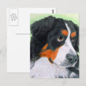 Begging Bernese Briefkaart (Voorkant / Achterkant)