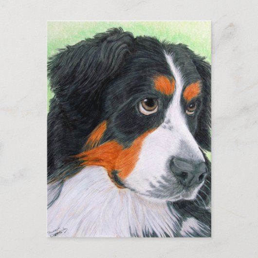 Begging Bernese Briefkaart (Voorkant)