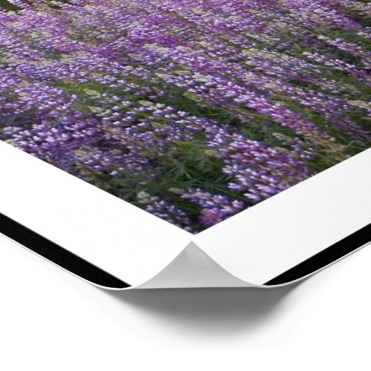 Begin door Aangepast Poster te doen (Hoek)