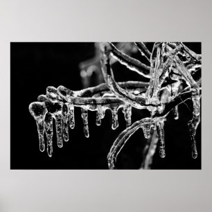 begin ijskoude winter poster