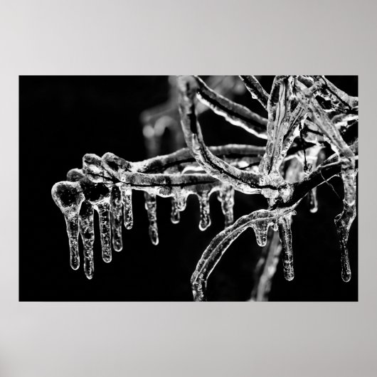 begin ijskoude winter poster (Voorkant)