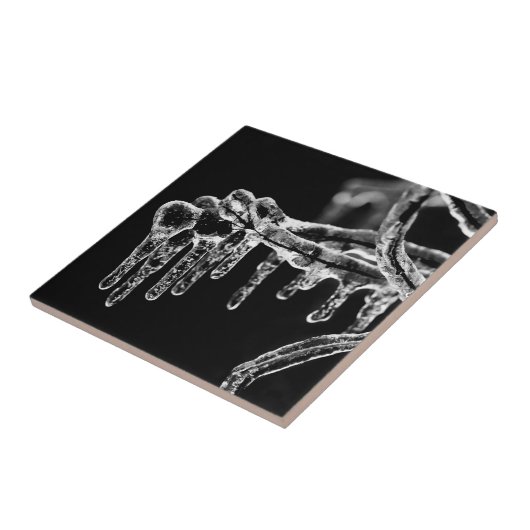 begin ijskoude winter tegeltje (Zijkant)