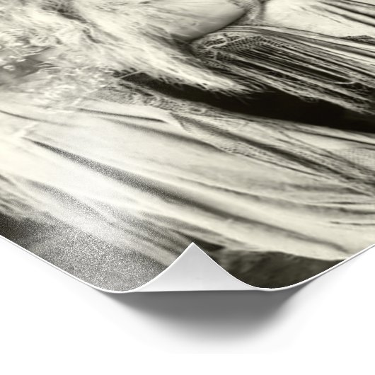 Begin jaren 1900 Franse schoonheid Foto Afdruk (Hoek)