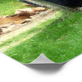 BEGIN ONDER $20 -Groepen op wasdag Poster (Hoek)