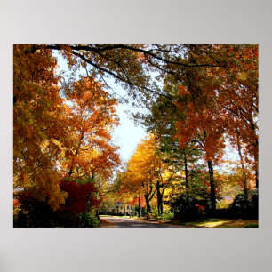 BEGIN ONDER $20 - Village Street in het najaar Poster