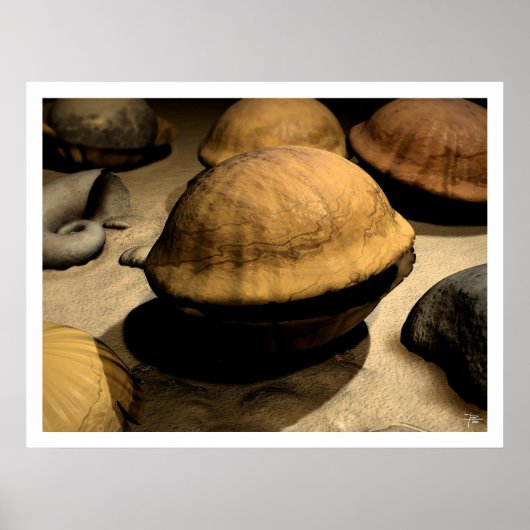 Begin Poster (Voorkant)