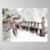 Begin Poster (Voorkant)