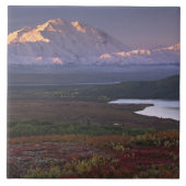 Begin september in het Nationaal Park Denali Tegeltje (Voorkant)