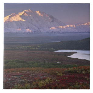 Begin september in het Nationaal Park Denali Tegeltje