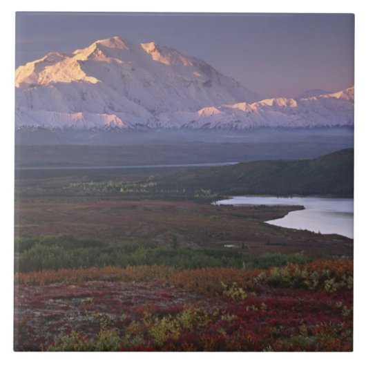 Begin september in het Nationaal Park Denali Tegeltje (Voorkant)