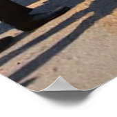 Begin van de eerste Tour de France in 1903 Poster (Hoek)