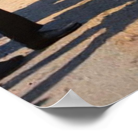 Begin van de eerste Tour de France in 1903 Poster (Hoek)