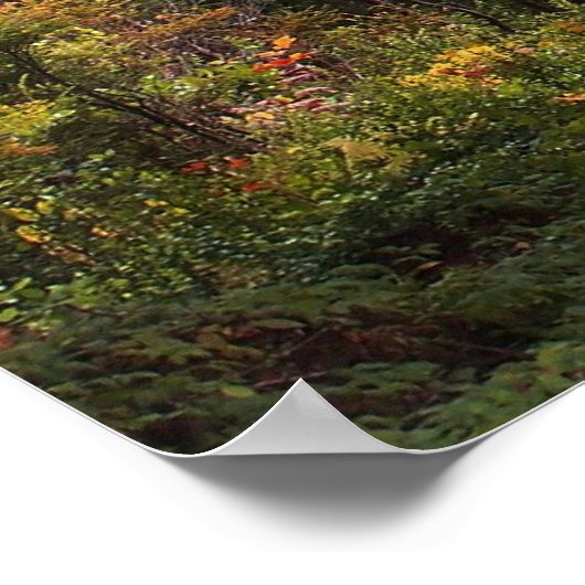 Begin van de Herfst Poster (Hoek)