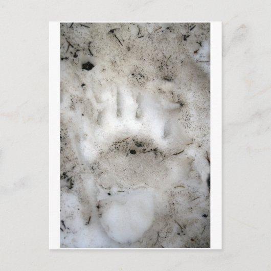 begin van het seizoen briefkaart (Voorkant)