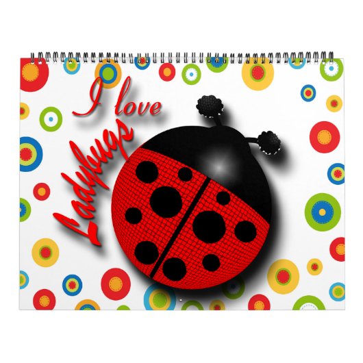 Begindatum kiezen kalender (Hoes)