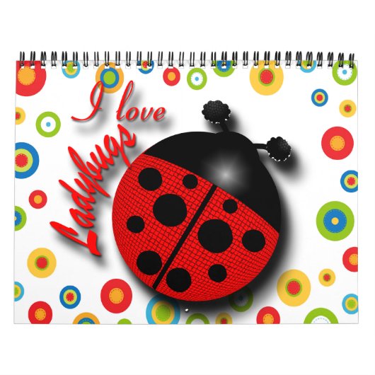 Begindatum kiezen kalender (Hoes)