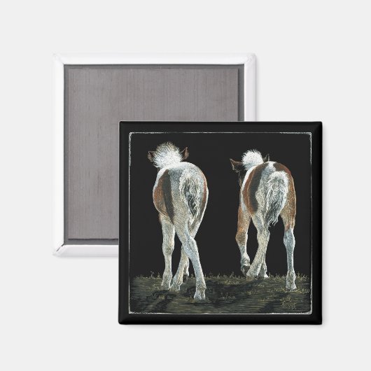 "Beginnende lijn dansen" - Veulenmagneet Magneet (Voorkant / Achterkant)