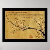 Beginsel van de gezondheidsprijs van chiropractisc poster (Voorkant)