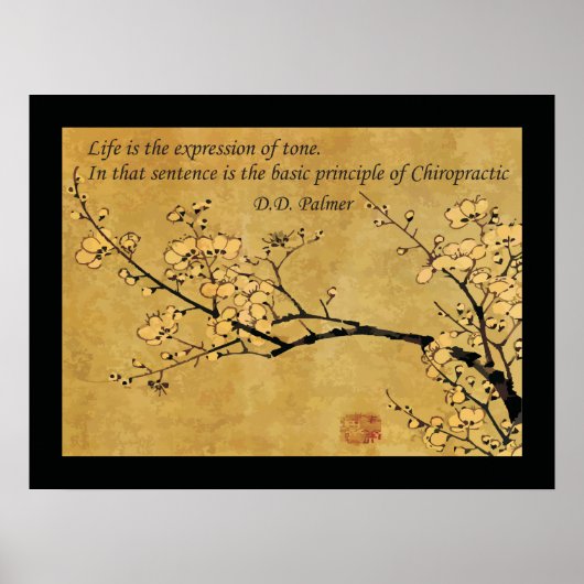 Beginsel van de gezondheidsprijs van chiropractisc poster (Voorkant)