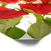 Beginselen van Reiki met Rozen Poster (Hoek)