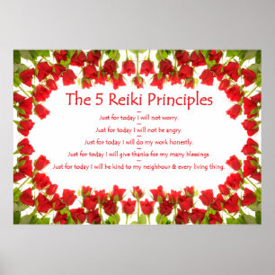Beginselen van Reiki met Rozen Poster