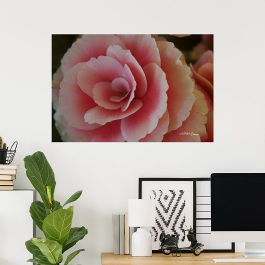 Begonia Beauty Poster (Thuiskantoor)