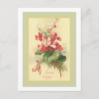 Begonia  Birthday Greetings Briefkaart