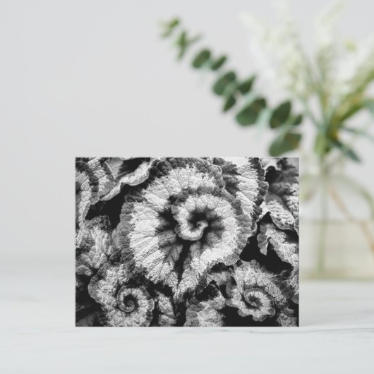 Begonia-bladeren in zwart-wit briefkaart (Staand voorkant)