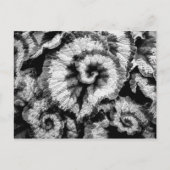 Begonia-bladeren in zwart-wit briefkaart (Voorkant)