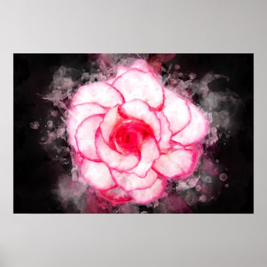 Begonia bloem waterverf - bb1 poster (Voorkant)