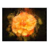 Begonia bloem waterverf - bb2 foto afdruk (Voorkant)