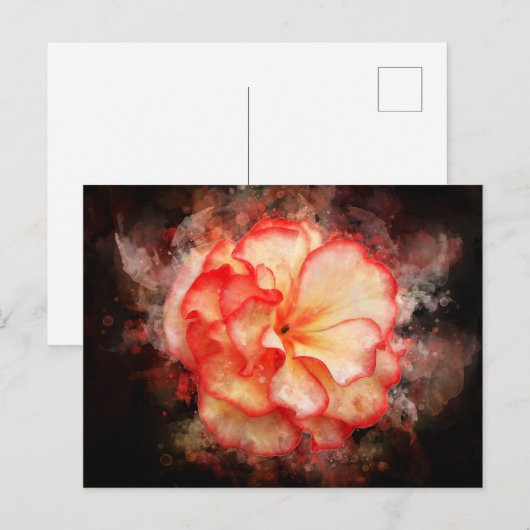 Begonia bloem waterverf - bb3 briefkaart (Voorkant / Achterkant)