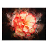 Begonia bloem waterverf - bb3 foto afdruk (Voorkant)