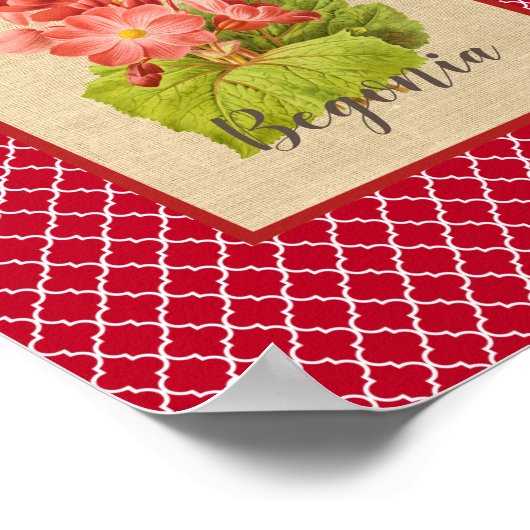 Begonia Botanical en Quatrefoil Poster (Hoek)