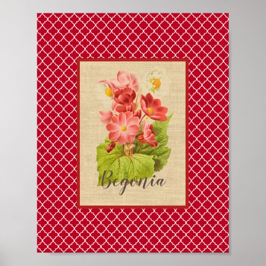 Begonia Botanical en Quatrefoil Poster (Voorkant)