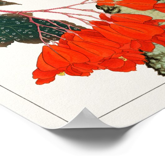 Begonia door Tanigami Konan Poster (Hoek)