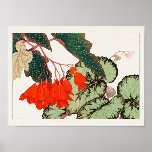 Begonia door Tanigami Konan Poster (Voorkant)