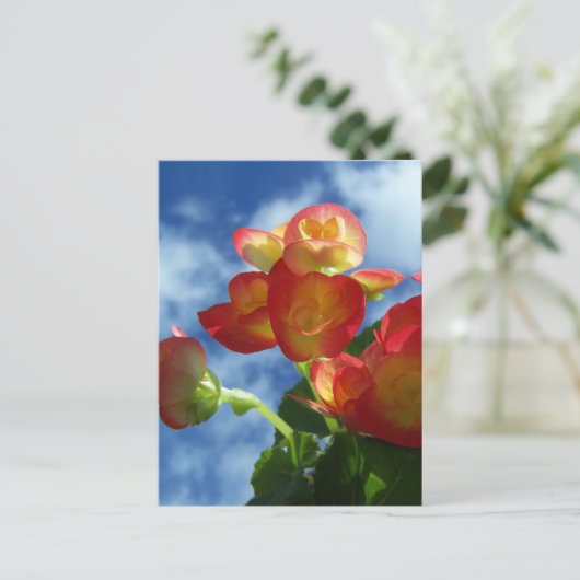 Begonia Flowers Briefkaart (Staand voorkant)