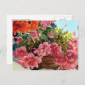  Begonia Flowers Briefkaart (Voorkant / Achterkant)