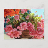 Begonia Flowers Briefkaart (Voorkant)